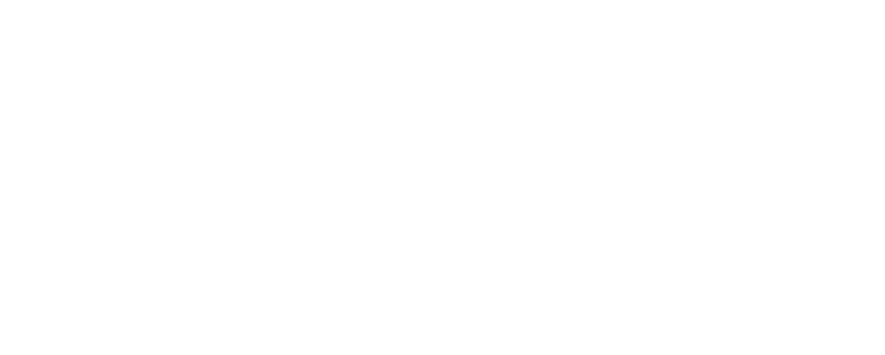 MeisterSinger